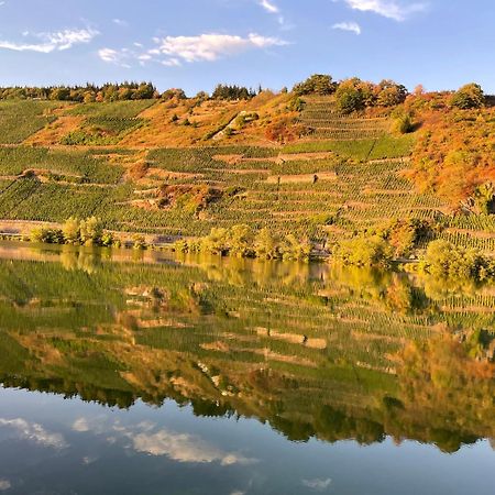 Neue Loft Im Alten Kelterhaus - Urlaub Im Wein- Und Ferienort Bekond Dış mekan fotoğraf