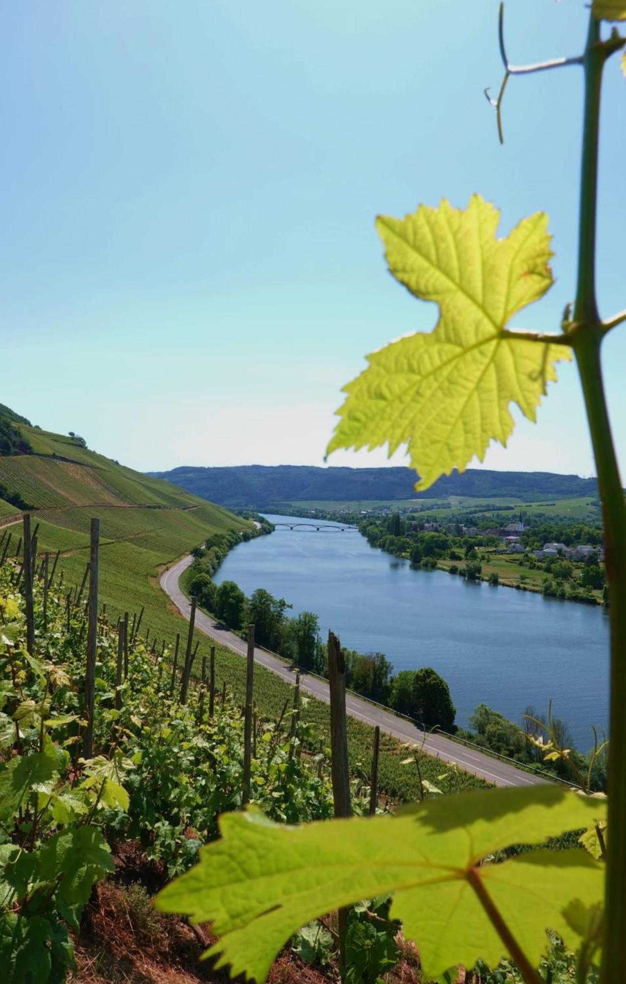 Neue Loft Im Alten Kelterhaus - Urlaub Im Wein- Und Ferienort Bekond Dış mekan fotoğraf